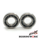 Bearing worx crankshaft bearings gas gas ec 250 4t '10-12, ec 250f '13 (ntn) (вироблено в японії)
