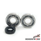Bearing worx підшипники коленвала з Прокладкими kawasaki kx 500 '83-'04 (ntn) (made in japan) (24-1011)