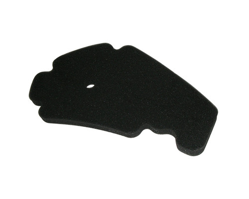 Miw Meiwa Фільтр Повітря Aprilia/Piaggio/Gilera/Peugeot 125/200/250/300/400/500 HFA5201DS 100 Чорний