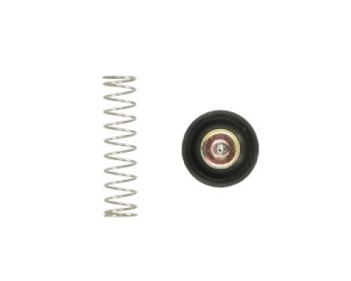 Ремонтний комплект клапана air cut tourmax honda vt 750c/ca/c2 shadow '04-09, vtx 1300c/r/t '08-09 (16048-meg-003) (made in japan)