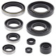 WINDEROSA (VERTEX) Комплект Прокладок для двигуна KAWASAKI KX250 87