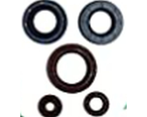 WINDEROSA (VERTEX) Комплект Прокладок для двигуна CAN-AM OUTLANDER DPS 450 EFI 15-20, OUTLANDER MAX DPS 450 EFI 15-20, DEFENDER 500 17-20, DEFENDER 500 DPS 17-20, DEFENDER 500 DPS CAMO 17, OUTLANDER MAX 450 6X6 19-20 - ZAST?PUJE 822998
