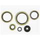 WINDEROSA (VERTEX) Комплект Прокладок для двигуна KTM EXC 300 94-03, EXC 360 96-97, EXC 380 98-02, MXC 300 94-03, MXC 360 96-97, MXC 380 98-01, SX 300 94, SX 360 96-97, SX 380 98-02