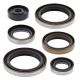 WINDEROSA (VERTEX) Комплект Прокладок для двигуна SUZUKI RM250 06-08