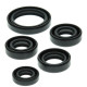 WINDEROSA (VERTEX) Комплект Прокладок для двигуна KAWASAKI KLF220 BAYOU 88-02, KLF250 BAYOU 03-11