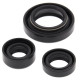 WINDEROSA (VERTEX) Комплект Прокладок для двигуна SUZUKI LT-F250 OZARK 02-14, LT-Z250 04-09