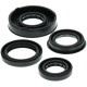 WINDEROSA (VERTEX) Комплект Прокладок для двигуна POLARIS PREDATOR 50 04-06, PREDATOR 90 03-04, SCRAMBLER 50 01-03, SCRAMBLER 90 01-03, SPORTSMAN 90 01-04