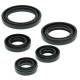 WINDEROSA (VERTEX) Комплект Прокладок для двигуна YAMAHA YFM50 RAPTOR 04-08