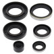 WINDEROSA (VERTEX) Комплект Прокладок для двигуна KAWASAKI KX250 83-84, KXT250 TECATE 84-85