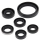 WINDEROSA (VERTEX) Комплект Прокладок для двигуна KAWASAKI KFX450R 08-14