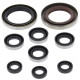 WINDEROSA (VERTEX) Комплект Прокладок для двигуна KTM XC 450 ATV 08-09, XC 525 ATV 08-09, POLARIS OUTLAW 525 IRS 07-11, OUTLAW 525 S 08-10