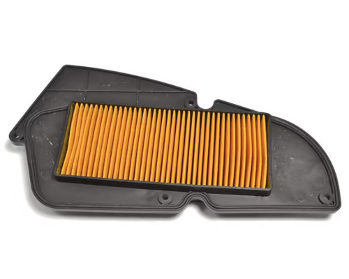 Athena, SYM HD/HD2, фільтр повітря, OEM 17211HHA000, 125/200, 2003-2014, чорний