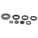 ATHENA Комплект Прокладок для двигуна SUZUKI RM 250 03-08