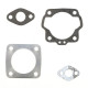 PROX Прокладка TOP-END SUZUKI LT 50 '84-06, KAWASAKI KFX 50 '03-06