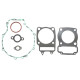 ATHENA Комплект Прокладок для двигуна POLARIS MANUM/HDS 325/330 '03-'10, TRAIL BLAZER 330 '08-'10, TRAIL BOSS 330 '06-'13