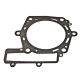 ATHENA ПРОКЛАДКА ПІД ГОЛОВКУ ( Головка ) BMW G 450X '07-'10, HUSQVARNA TC/TE/TXC 449 '11-'13 (OEM:111 Racing17715466; 7715466)