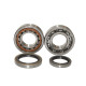 Bearing worx підшипники коленвала sherco se-r 250 2t 14-16, se-r 300 2t 14-16 (ntn) (made in japan)