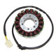 ОБМОТКА ГЕНЕРАТОРА ELECTROSPORT (СТАТОР) APRILIA RST 1000 Futura (01-04), ETV 1000 Caponord (02-07)