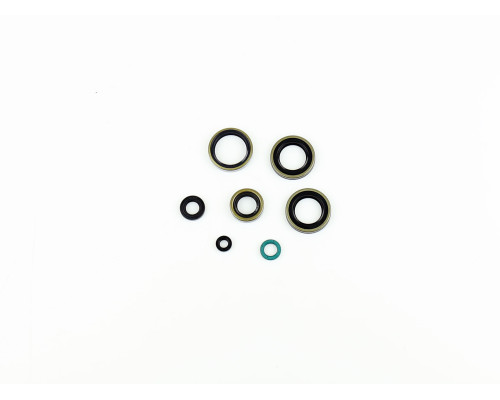 ATHENA Комплект Прокладок для двигуна KAWASAKI KDX 200 / 220 '95-'03