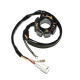ОБМОТКА ГЕНЕРАТОРА ELECTROSPORT (СТАТОР) З ПІДСВІТЛЕННЯМИ KTM 400/450/525/540/560