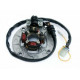 ОБМОТКА ГЕНЕРАТОРА ELECTREX (СТАТОР) З ЛІХТАМИ YAMAHA YZF250 '04- ,YZF400/426/450 '98-'05 (КОМПЛЕКТ)