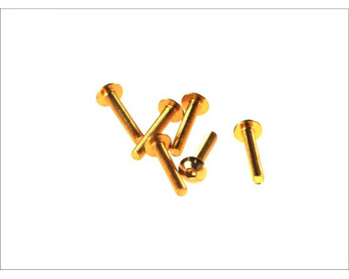 V parts (vicma) комплект болтів обтічника m5x30 (6шт) золотий колір (шестигранник) (ta530or)