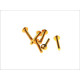 V parts (vicma) комплект болтів обтічника m5x30 (6шт) золотий колір (шестигранник) (ta530or)