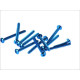 V parts (vicma) комплект болтів обтічника m5x50 (12шт) синій (rc550az)
