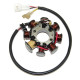 ОБМОТКА ГЕНЕРАТОРА ELECTROSPORT (СТАТОР) KTM 250/400/450/520/525, HUSABERG 450/550/650 04-08