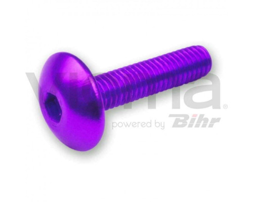 V parts (vicma) комплект болтів обтічника m6x20 (6шт) фіолетовий (шестигранник) (ta620li)