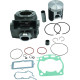 Циліндр комплект YAMAHA yz 250 '99-'25 2t, fantic xx 250 '22-25 standard (66.40 mm) nicasil (ганок 22584 b / c , Циліндр , верхний , підшипник )