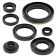 WINDEROSA (VERTEX) Комплект Прокладок для двигуна SUZUKI RM250 89-93