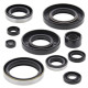 WINDEROSA (VERTEX) Комплект Прокладок для двигуна KAWASAKI KX 250 '90-'92, KDX 250 '91-'94