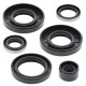 WINDEROSA (VERTEX) Комплект Прокладок для двигуна KAWASAKI KX60 85-03, KX80 83-87, SUZUKI RM60 03
