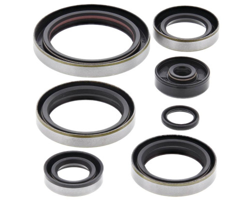 WINDEROSA (VERTEX) Комплект Прокладок для двигуна KTM EXC 250 94-99, SX 250 94-99