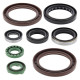 WINDEROSA (VERTEX) Комплект Прокладок для двигуна KTM SXF450 07-12, XCF450 08-09, SXF505 08-09