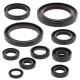 WINDEROSA (VERTEX) Комплект Прокладок для двигуна HONDA CRF250R 04-09, CRF250X 04-17