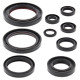 WINDEROSA (VERTEX) Комплект Прокладок для двигуна HONDA CRF450R 09-16