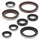 WINDEROSA (VERTEX) Комплект Прокладок для двигуна KTM SXF 350 '11-'14, EXCF 350 '13-'16