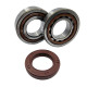 Bearing worx підшипники коленвала ktm sx/exc 400/450/520/525 (ntn) (made in japan) (24-1106)