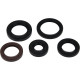 WINDEROSA (VERTEX) Комплект Прокладок для двигуна POLARIS PHOENIX 200 05-21, RZR 170 09-20, SAWTOOTH 200 06-07