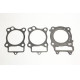 ATHENA Прокладка TOP-END (RACING) HONDA CRF 150R '07-'22