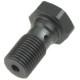Trw lucas hydraulic brake line bolt m10x1.00 brembo titanium color (акція)