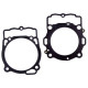 PROX Прокладка TOP-END YAMAHA YZF 450 (YZ450F) '10-'13 (G?OWICA+Циліндр)