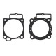 PROX Прокладка TOP-END HONDA CRF 450 R '19-'20, CRF 450 RX '19-'20 (G?OWICA+Циліндр)