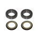Підшипники рами psychic з сальниками honda crf 250r/450r '09-'12, (22-1059)
