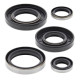 WINDEROSA (VERTEX) Комплект Прокладок для двигуна KAWASAKI KX250 82