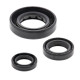 WINDEROSA (VERTEX) Комплект Прокладок для двигуна HONDA CRF150F 06-17