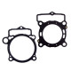 PROX Прокладка TOP-END KTM SXF 250 (SX-F) '13-'15 (G?OWICA+Циліндр)
