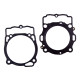 PROX Прокладка TOP-END KTM SXF 450 (SX-F) '14-'15 (G?OWICA+Циліндр)